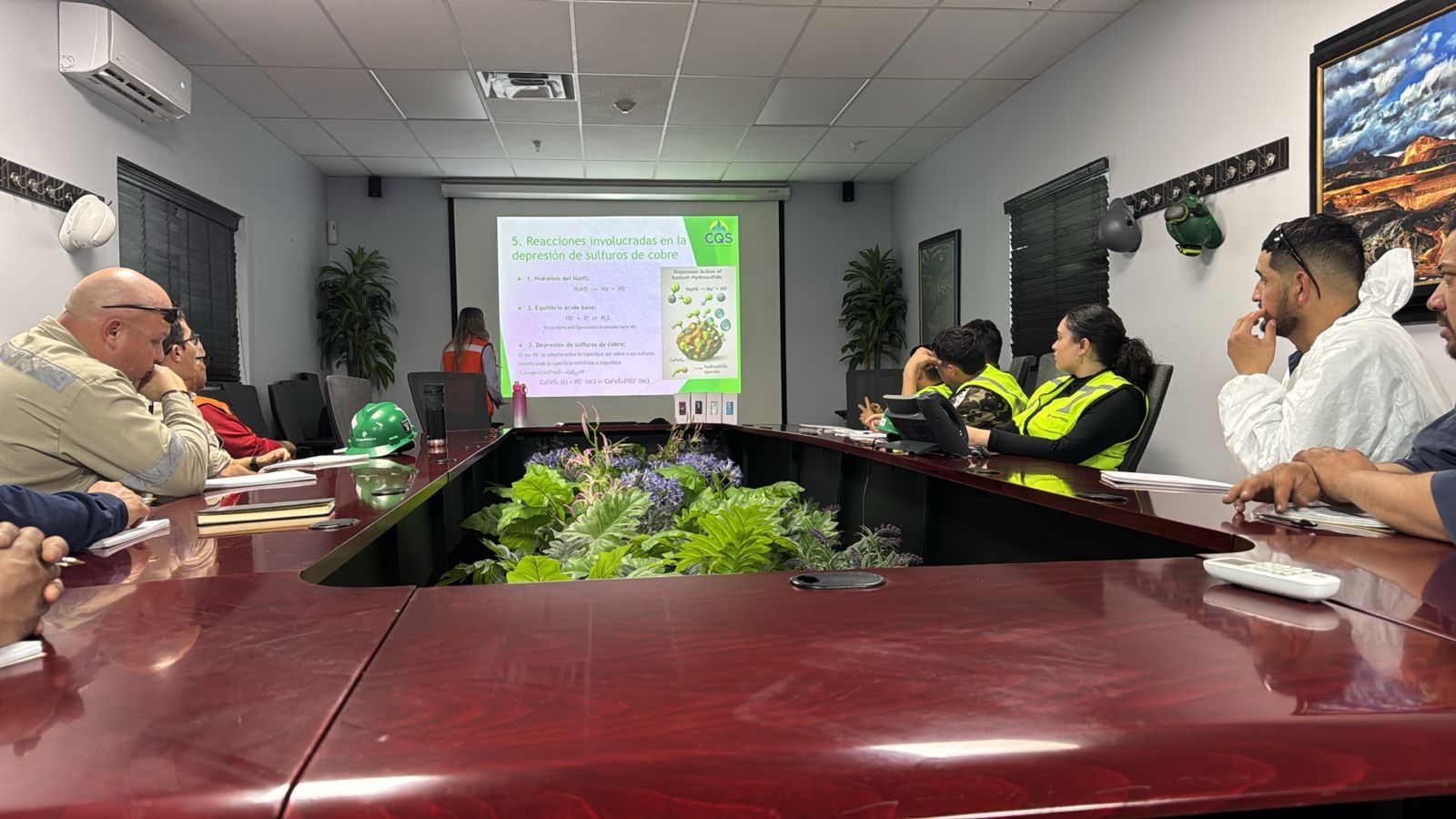 Capacitación técnica CQS — Depresión de sulfuros de cobre